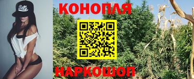 Альфа ПВП Балаково